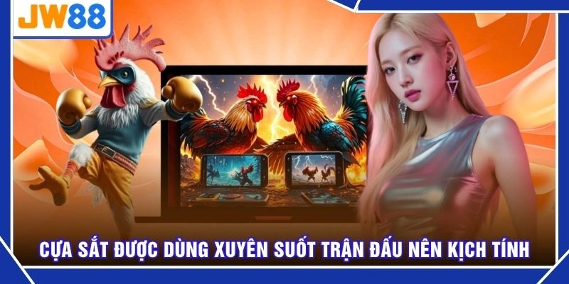 Cựa sắt được dùng xuyên suốt trận đấu nên kịch tính
