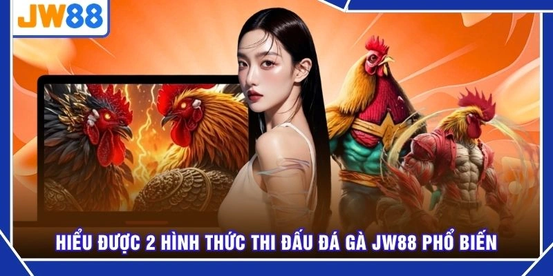 Hiểu được 2 hình thức thi đấu đá gà JW88 phổ biến