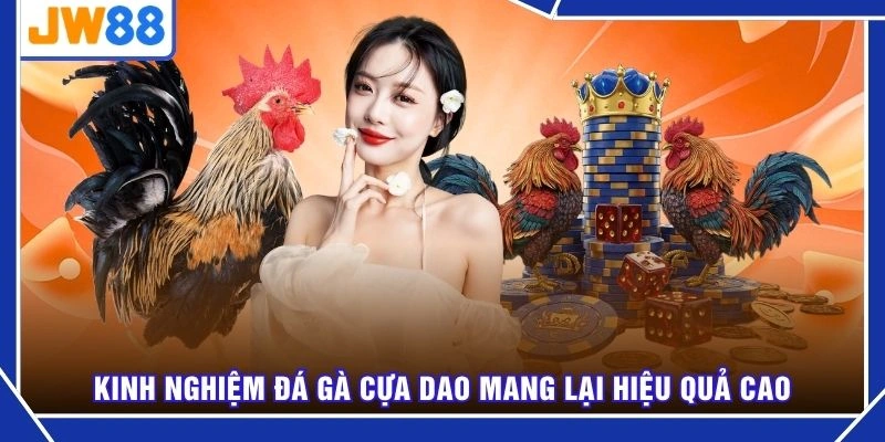 Kinh nghiệm đá gà cựa dao mang lại hiệu quả cao